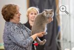 Jumping Joy′s Gabriella. : . :  . : . 